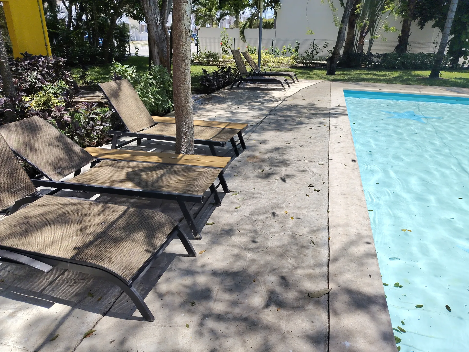 Alberca y área de eventos