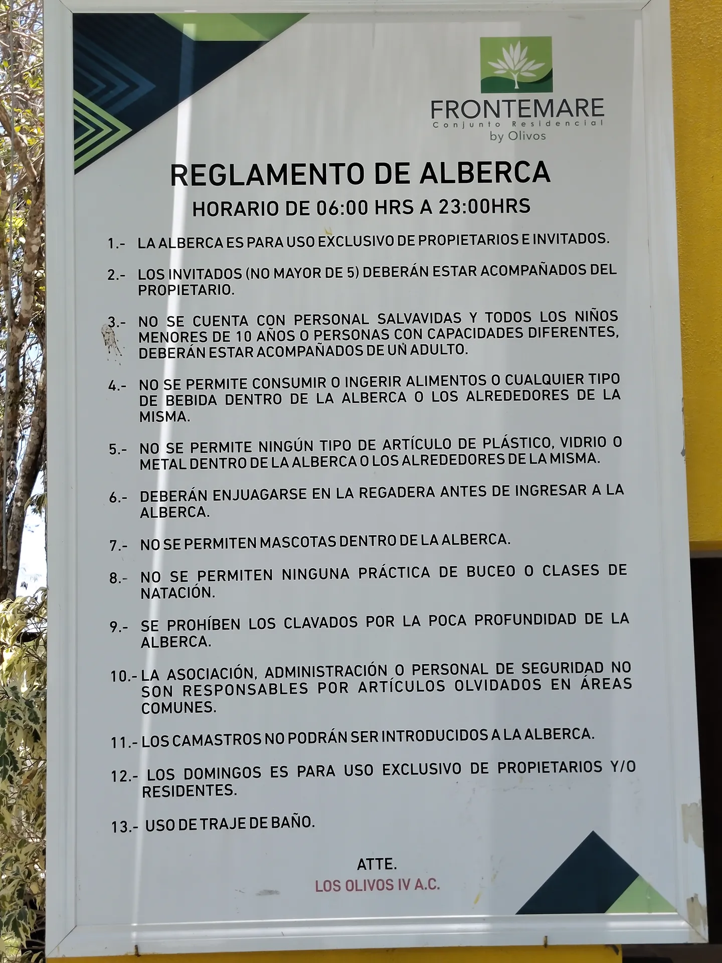 Alberca y área de eventos